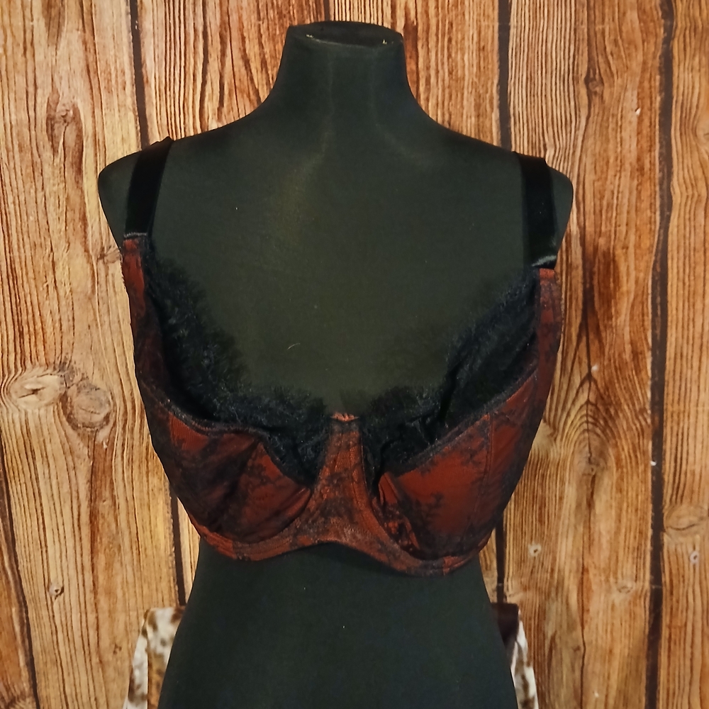 Cacique Lace Trim Bra - Black and Brown